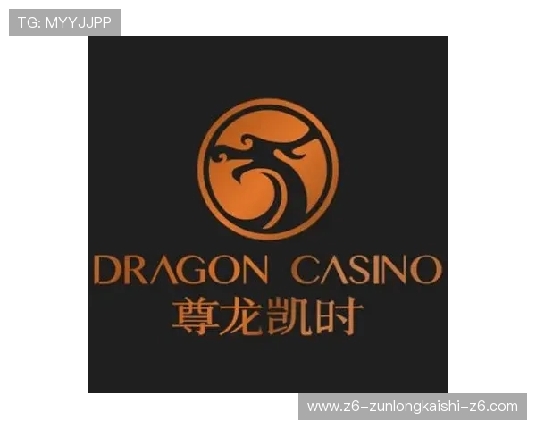 凯时尊龙app下载安装指南帮助用户轻松掌握最新版本下载方法