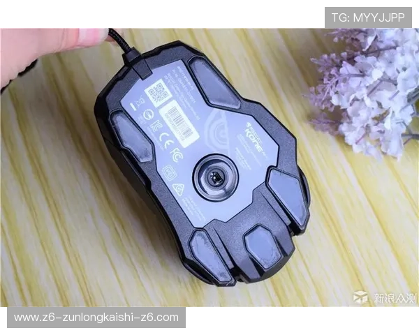 凯时手机版官网app功能介绍与使用技巧，助你快速上手提升游戏体验效果