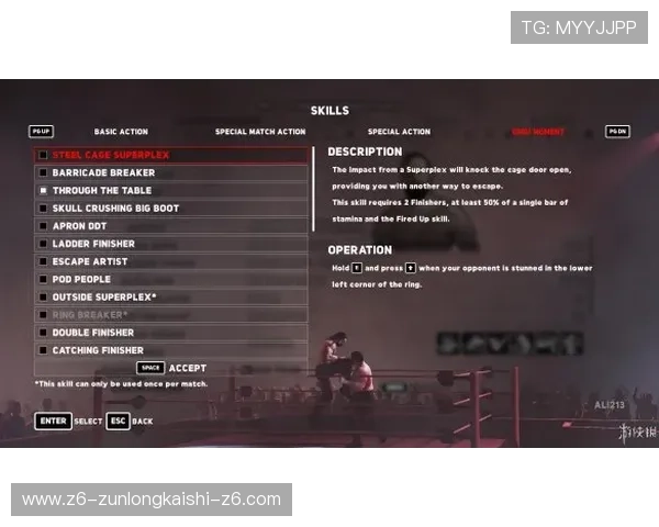 z6尊龙凯时游戏攻略大全，帮助新手快速上手掌握核心玩法与技巧