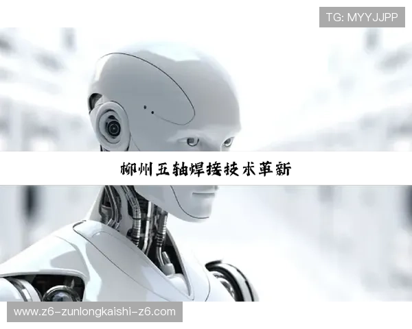 尊龙凯时手机版下载不断优化性能，确保游戏运行流畅不卡顿，提升整体体验