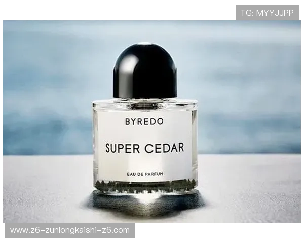 Z6尊龙真人国际如何保障玩家资金安全：安全措施与隐私保护全方位解析