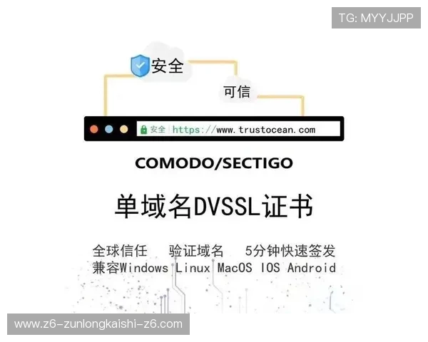 详细解析尊龙凯发官方网站的安全性与用户保护措施