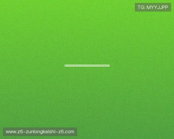 凯时尊龙入口安全验证措施，保障玩家账号安全与游戏体验的全面提升